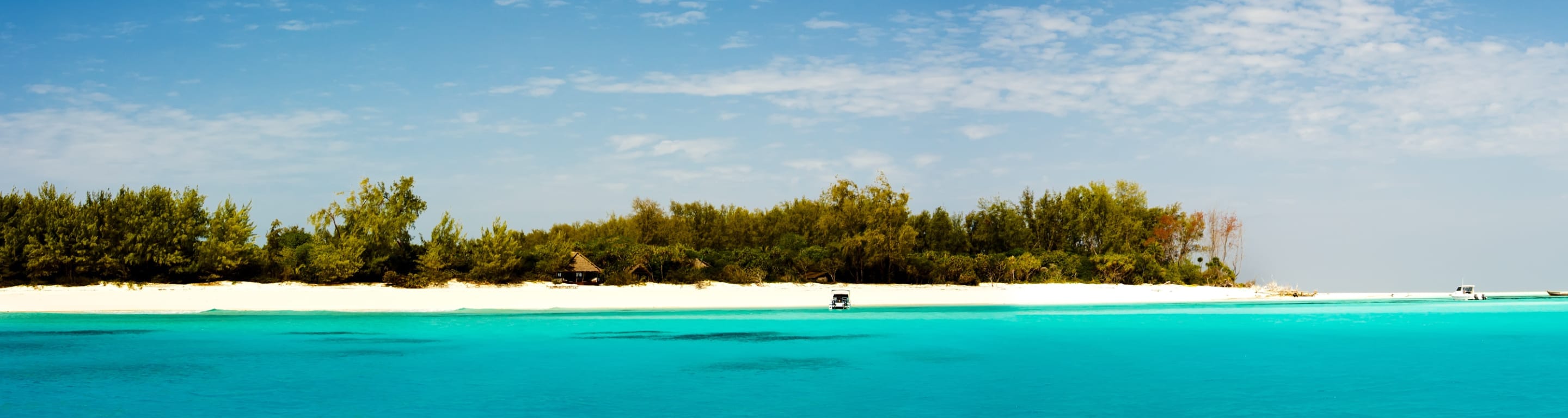 Privacy and Cookie Policy